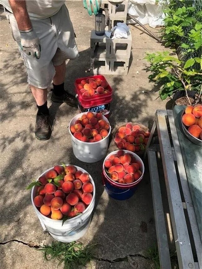 Building Photo - 515 Wabash Ave