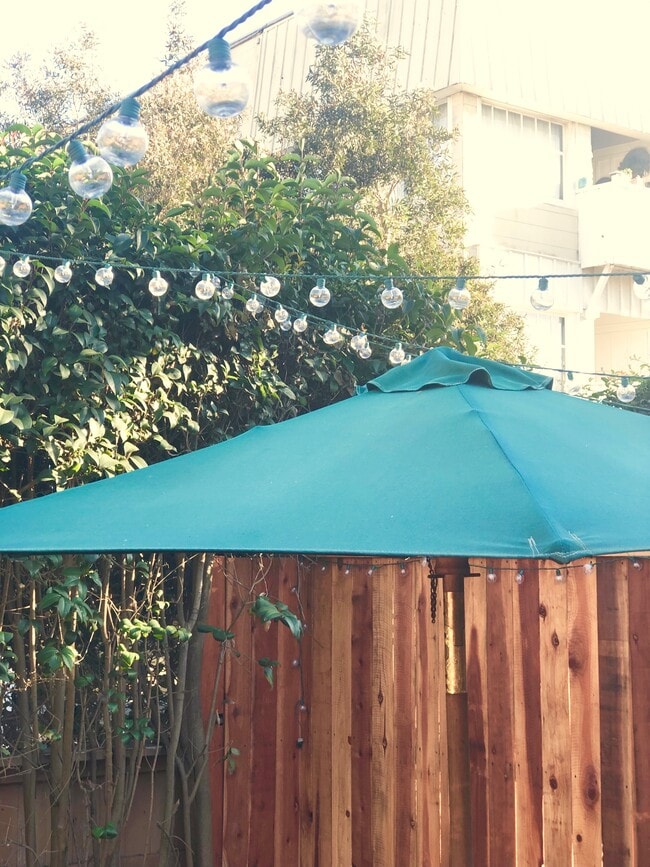 Outdoor living room, great lifestyle - 35 Dudley Ave