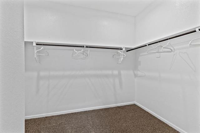 Building Photo - 8520 Little Acorn Dr