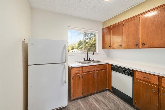 Building Photo - 509 Cedar Dr
