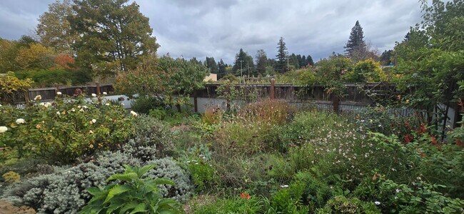 Building Photo - Beautiful Home With Incredible Views