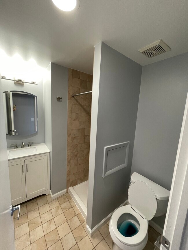 Updated 2nd Bathroom - 1763 Columbia Rd NW