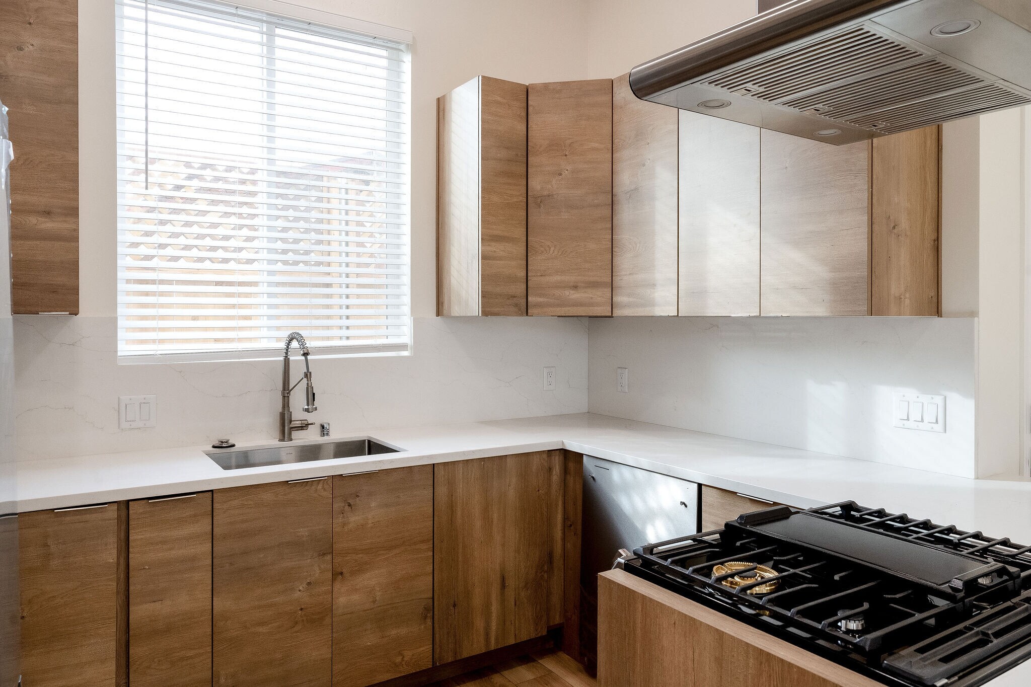 Brand new kitchen- Large sink, dishwasher, range, vent hood - 4772 Bancroft St
