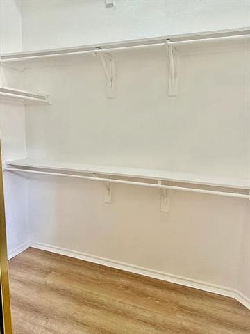 Building Photo - 1301 Royal Palm Ln