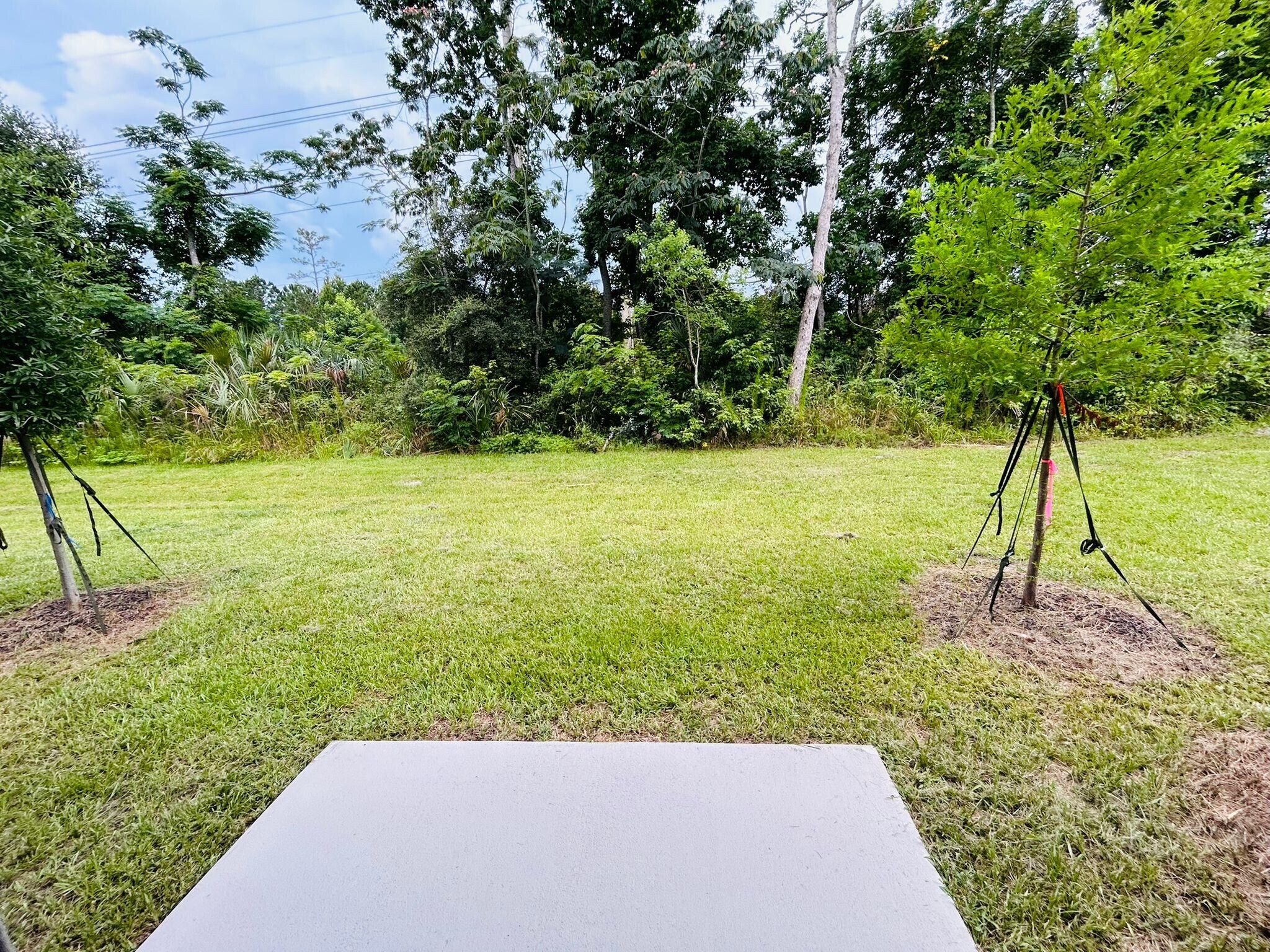 Building Photo - 50 Playa de Luna Ln