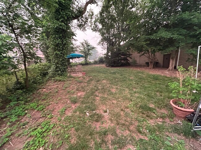 Rear Yard - 128 E Pleasant Ave