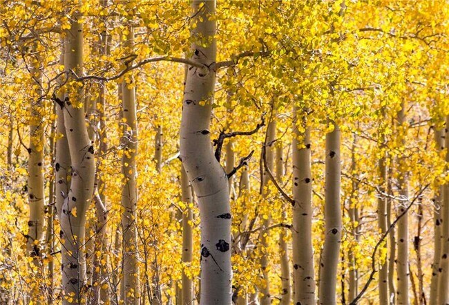 Building Photo - 1000 Marquez Plz