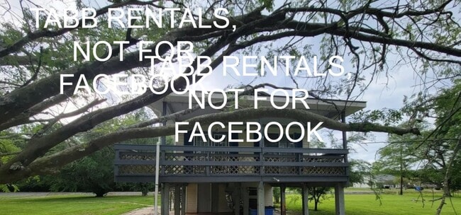 Building Photo - 278 Eves St