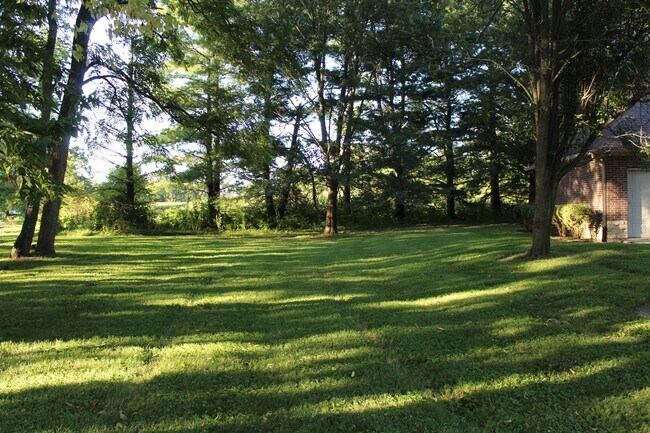 Building Photo - Price Reduced! Stunning Custom 4 Bedroom H...