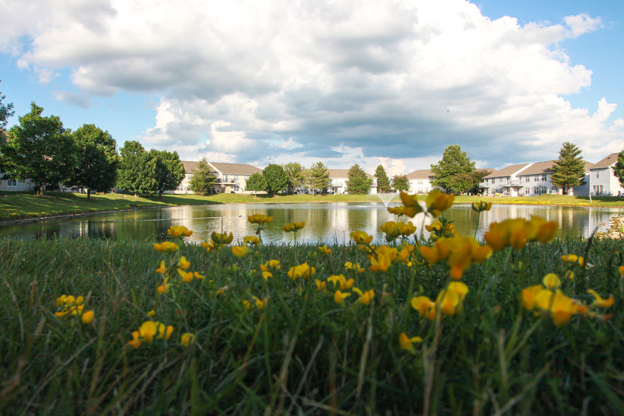 Pond - Burberry Place