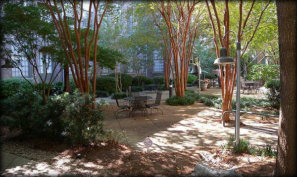 Lush Courtyard - 920 Poeyfarre St