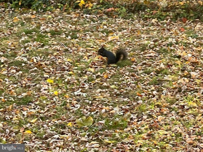 Building Photo - 8 S Hudson St