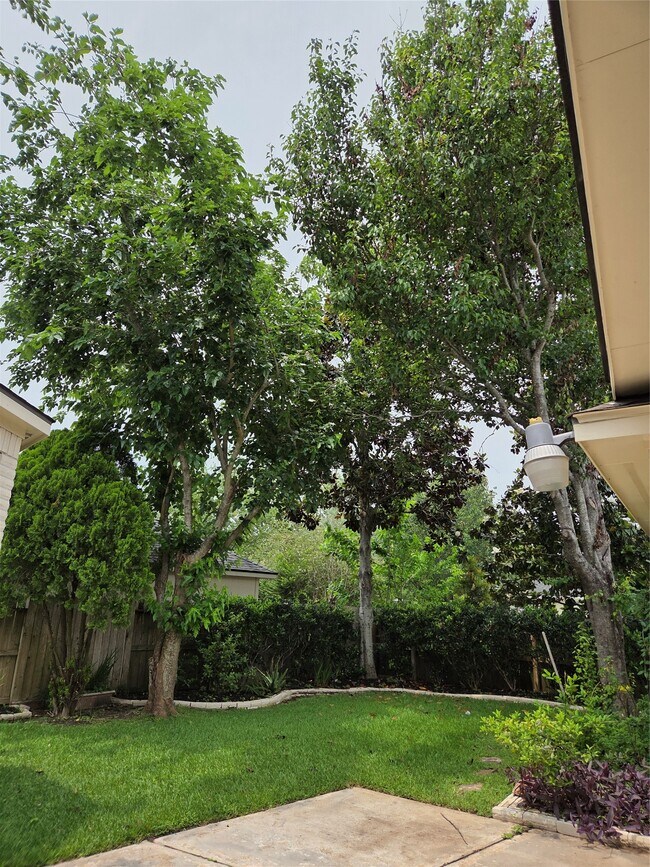 Building Photo - 4306 Lakeside Meadow Dr