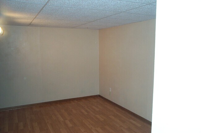 Lower level room - 2834 Sandy Hollow Rd