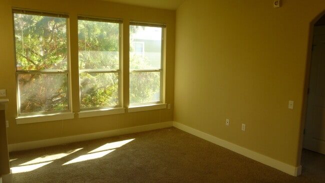 Building Photo - Great 1/1 unit in Chestnut Commons 78702