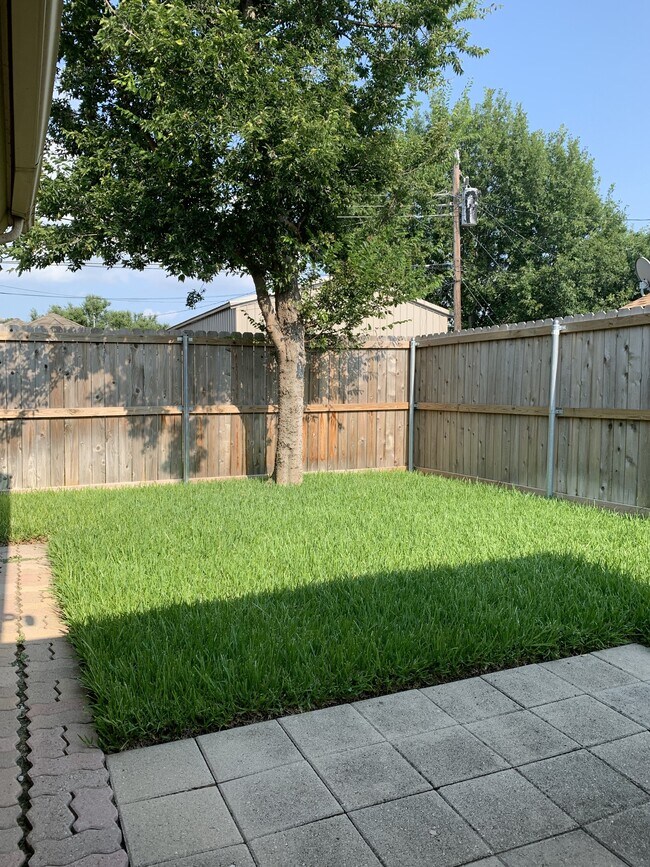Backyard - 339 Dogwood Dr