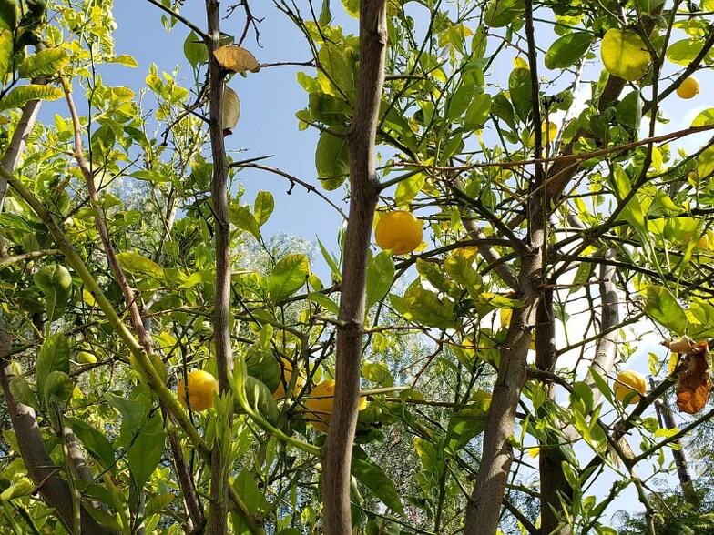 Building Photo - 3422 Glenalbyn Dr