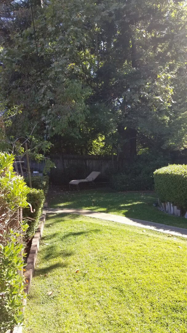 Building Photo - Central Roseville, Single Story Large Yard, Pool w/ Service 3 bedrooms, 2 baths,  1931sqft Gardne...