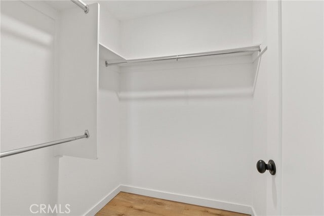 Building Photo - 28015 Ridgebluff Ct