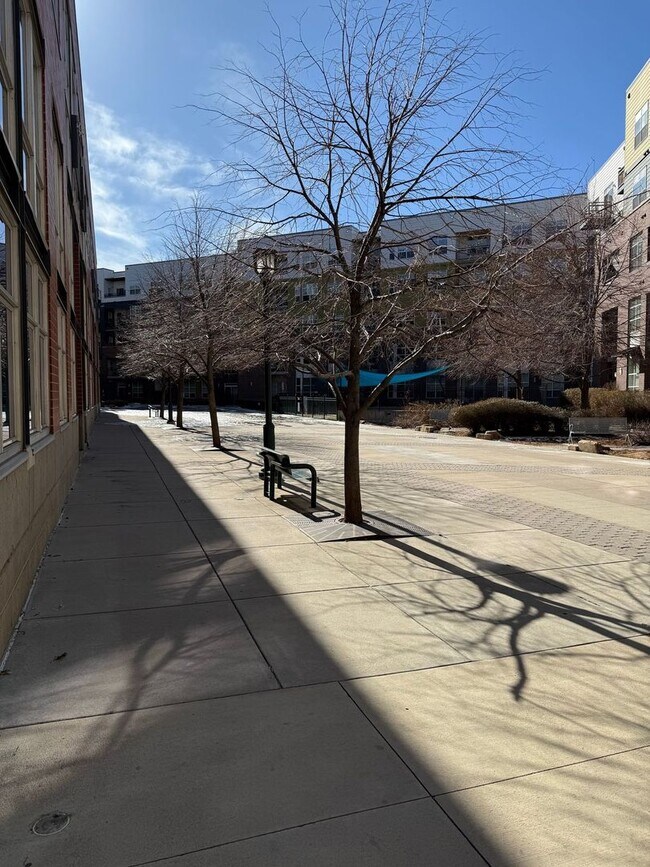 Building Photo - Full Service Executive Fully Furnished All Inclusive Architectural Penthouse Loft Downtown Denver