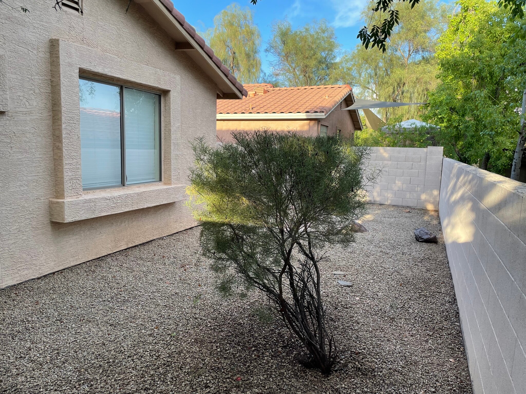 Building Photo - 1079 E Susan Ln