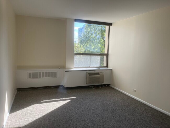 Building Photo - 1360 N Sandburg Terrace