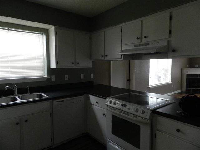Building Photo - 3404 Daylily Ln
