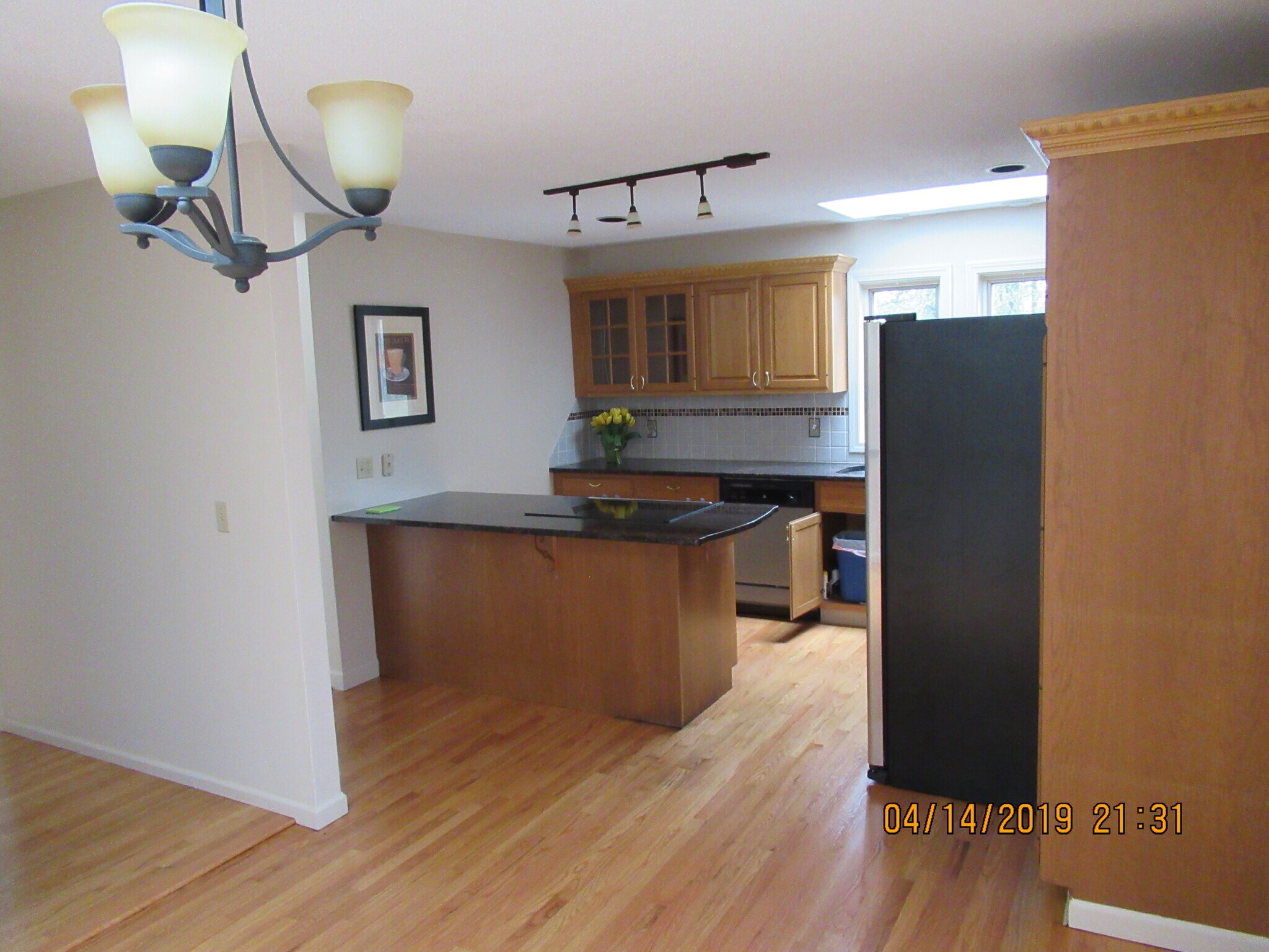 OPEN KITCHEN - 100 Winterbourne Ln
