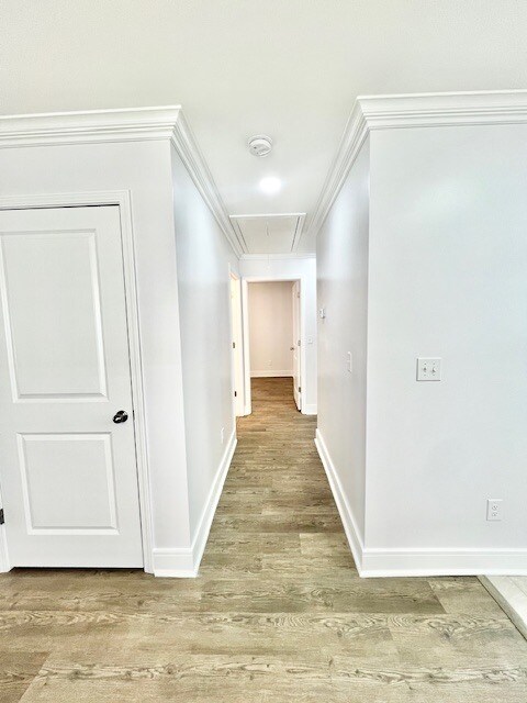 Building Photo - 165 Pommel St