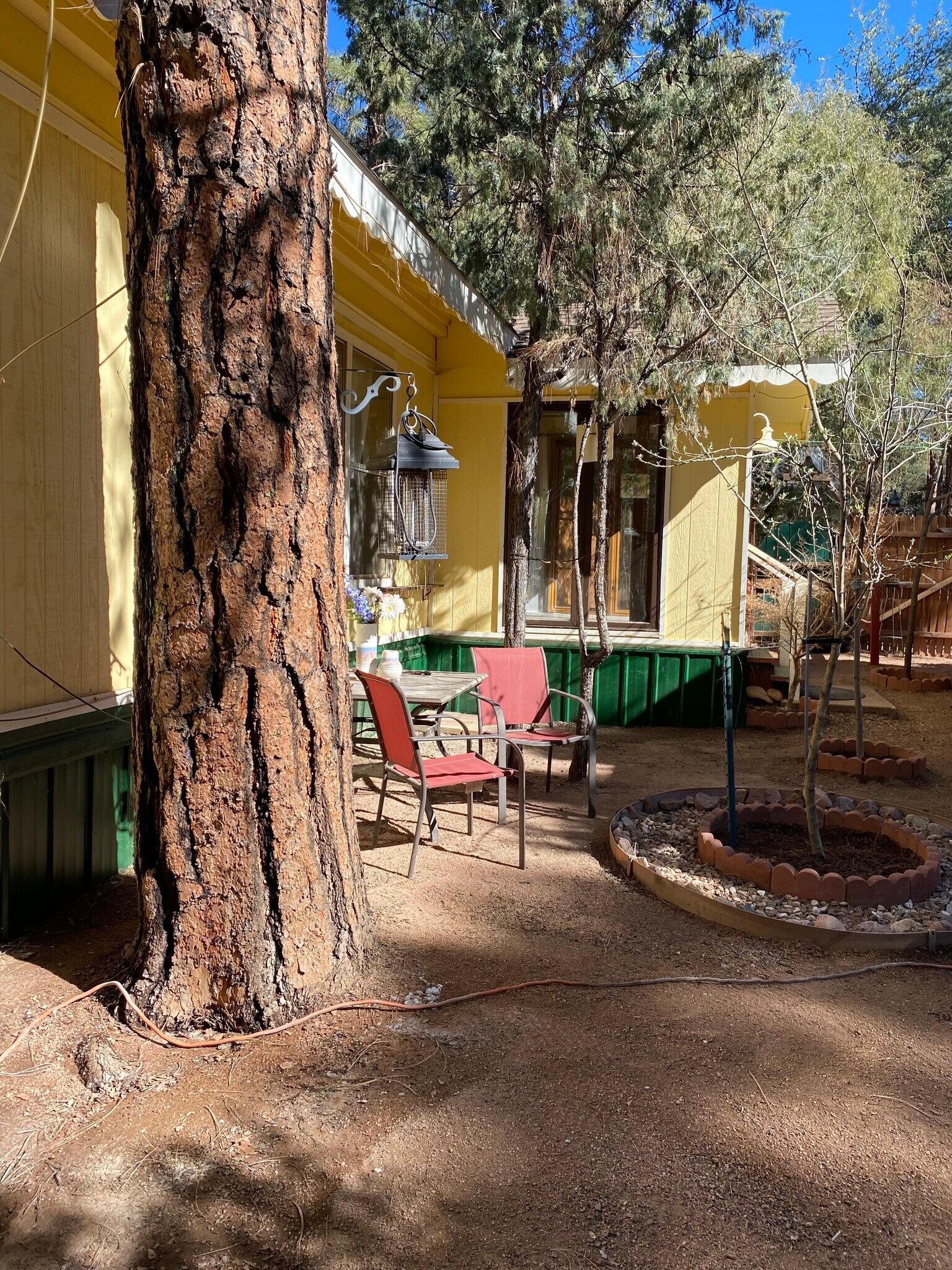 Backyard - 808 N Easy St