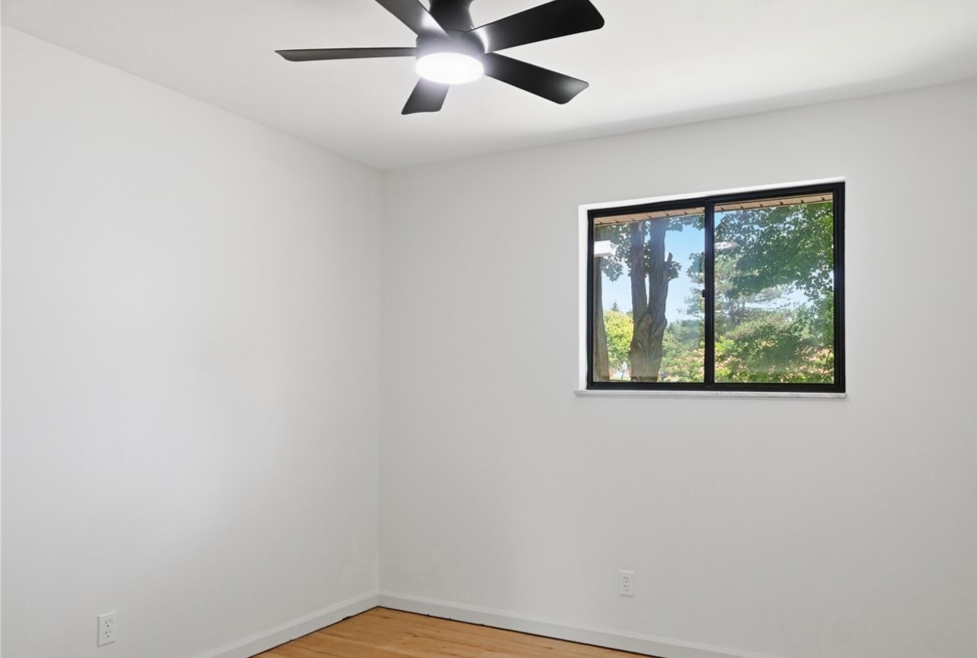 Building Photo - 3473 Sunnyside Dr