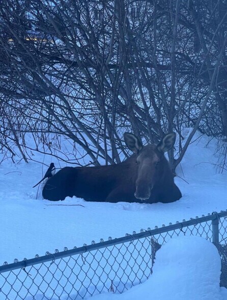 Building Photo - 319 W 12th Ave