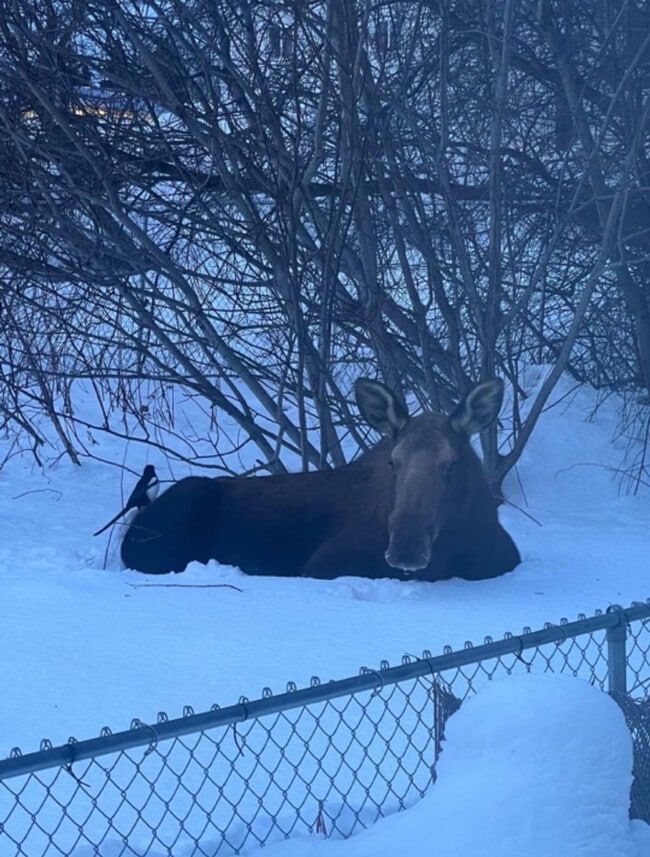 Building Photo - 319 W 12th Ave