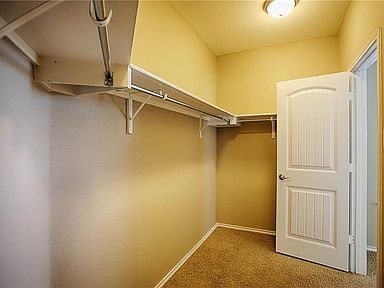 Building Photo - 1101 Amazon Lilly Cove