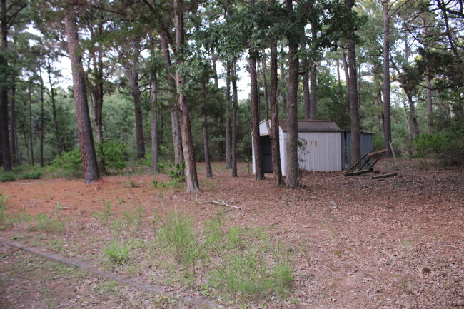 Building Photo - Privacy in the country!