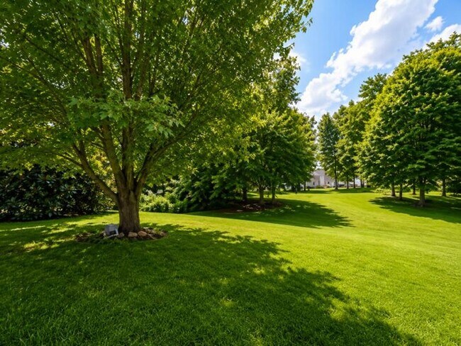 Building Photo - 1034 Persimmon Ct