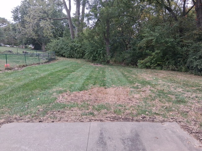 BACKYARD - 704 S 40th St