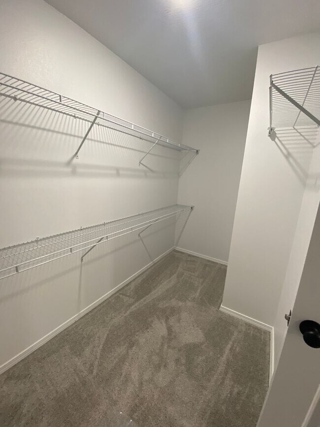 Building Photo - 213 All Spice Court