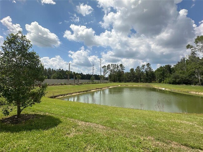 Building Photo - 2079 Hallier Cv
