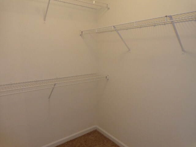 Building Photo - 725 Windsor Brook Ln