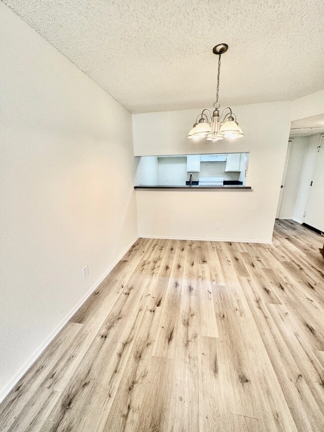 Interior Photo - Palm Terrace