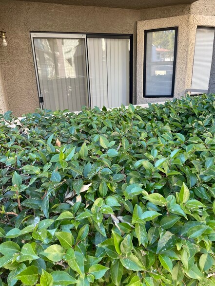 Primary Photo - 5038 S Rainbow Blvd