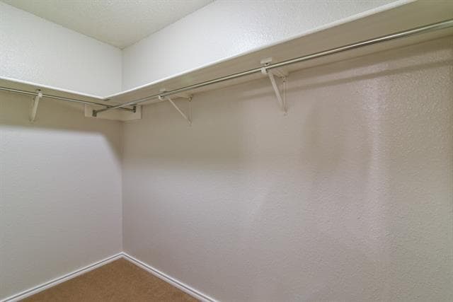 Building Photo - 2106 Delaford Dr