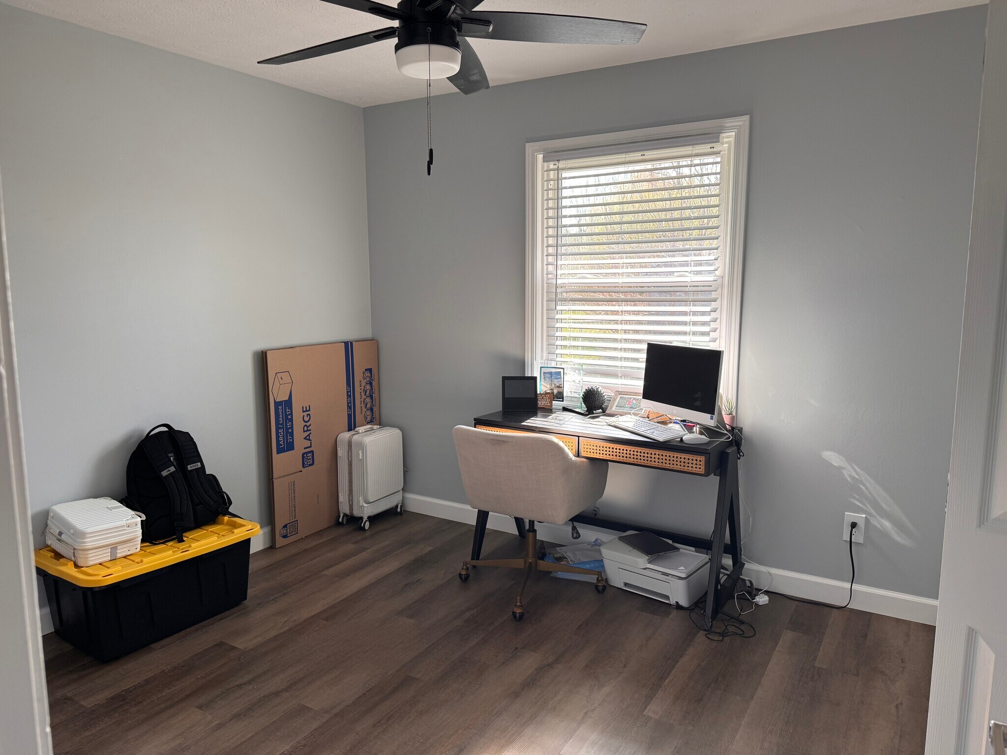 Building Photo - 135 Albany St