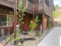 Building Photo - 6248-6243 Three Needles Ln