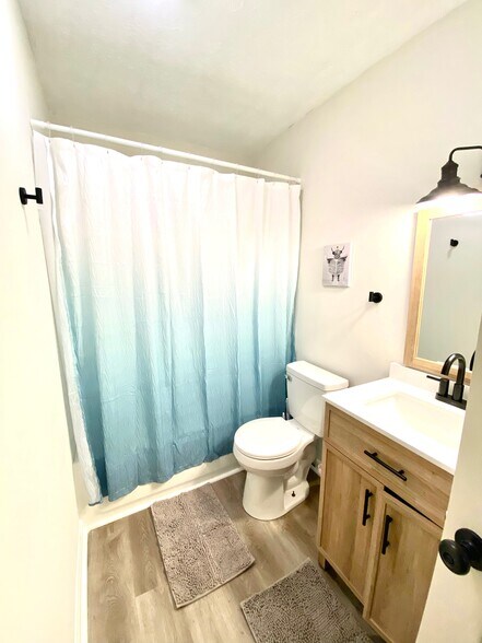 Newly renovated bathroom with shower - 145 E Wellington Ave