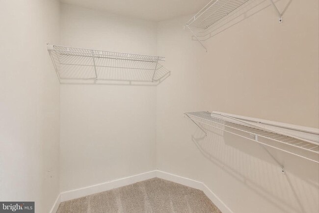 Building Photo - 10020 Ruffian Wy