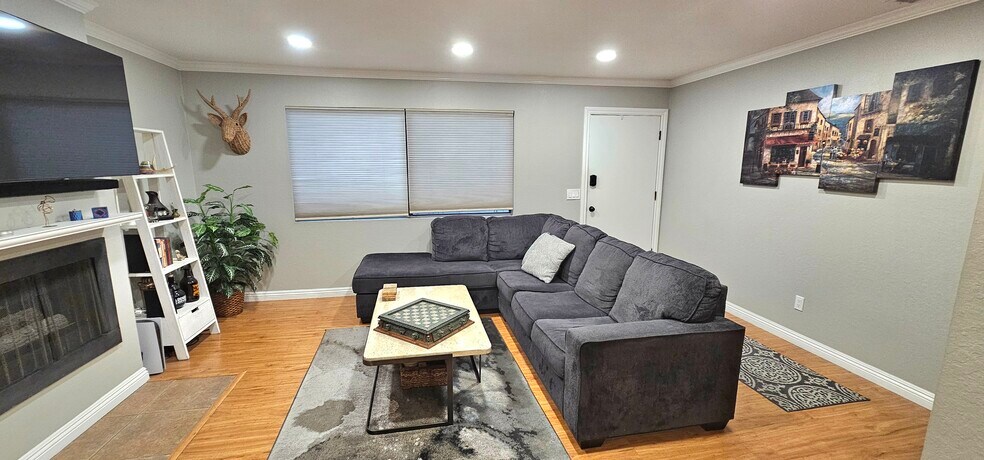 Living Room - 1910 W Palmyra Ave