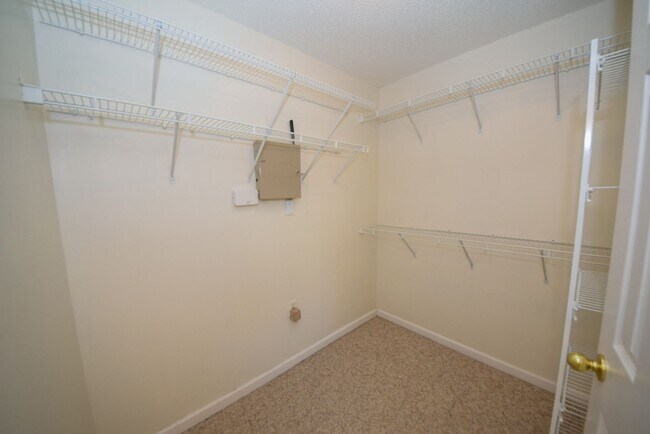 Building Photo - Gorgeous 3 bed, 2 bath with BONUS in Cordova.