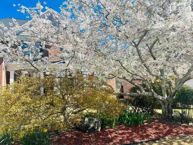 Building Photo - 12872 Waterside Dr